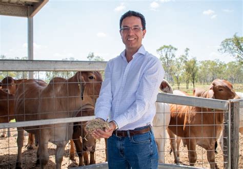 luis prada e silva|Dr. Luis Prada e Silva: Nitrogen Efficiency in Cattle .